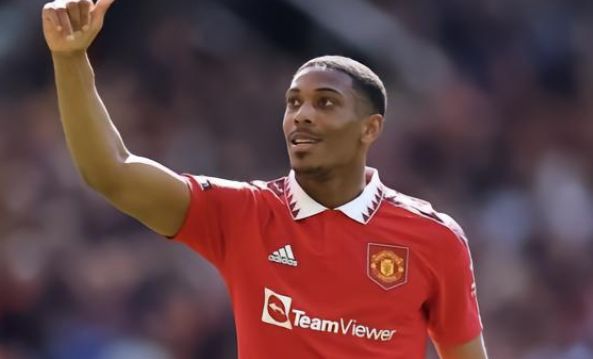 一些拳盲因 一些拳盲因