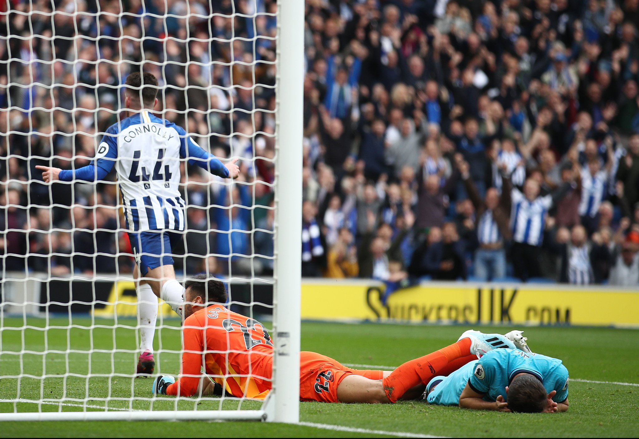 已有数家英 已有数家英